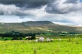 Whernside mountain. Yorkshire Dales National Park Royalty Free Stock Photo