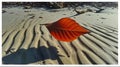 Whethered leaf on the sand of the beach in the morning Royalty Free Stock Photo