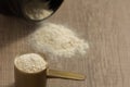 Whey Protein. Dropped black jar and spilled powder. Yellow measuring scoop. Selective focus and wooden table. Royalty Free Stock Photo