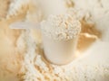 Whey protein powder Royalty Free Stock Photo