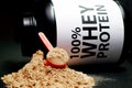 Whey Protein Powder in measuring scoop. Royalty Free Stock Photo