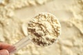 Whey protein powder in a plastic measuring spoon Royalty Free Stock Photo