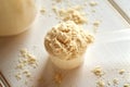 Whey protein powder in a plastic scoop on a white table Royalty Free Stock Photo