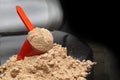 Whey Protein Powder with Red Plastic Scoop on iSolated Black Background