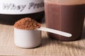 Whey Protein. White scoop with chocolate flavour powder, shaker Royalty Free Stock Photo