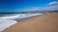 Whimbrel shorebirds on Surfers Knoll beach in Ventura southern California USA Royalty Free Stock Photo