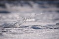 Whims of nature - a close-up of the translucent ice formation