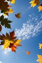 Whimsical Autumn Leaves Flying Across the Blue Sky