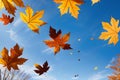 Whimsical Autumn Leaves Flying Across the Blue Sky