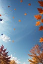 Whimsical Autumn Leaves Flying Across the Blue Sky