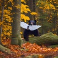 A whimsical bear with wings made of autumn leaves, exploring a magical forest during the changing seasons3, Generative AI