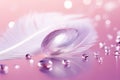 Whimsical Beauty: A Soft Feather on a Teasing Pink Background