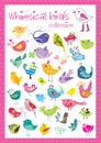 Whimsical birds collection