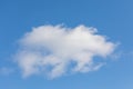 Whimsical Cloud Animal Shape in a Bright Blue Sky Royalty Free Stock Photo
