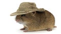 A whimsical creature resembling a mouse under a woven hat.