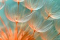 Whimsical Dandelion Seeds