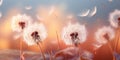 Whimsical Dandelion Wishes at Twilight. Generative ai