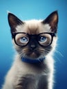 Portrait of a cute Siamese cat wearing glasses and bow tie. Blue background.