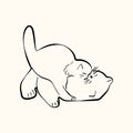 Whimsical doodle cat pose vector illustration. Cute kitten, hand drawn linear cat in different poses playing and jumping Royalty Free Stock Photo
