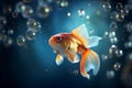 Whimsical goldfish entertains with its bubble-blowing antics Royalty Free Stock Photo