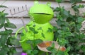 Whimsical green metallic garden frog decor standing amidst mint plants in the backyard