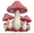 Whimsical Illustrated Scene of Vibrant Red Fly Agaric Mushrooms in a Magical Forest. Generative AI