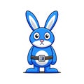 Rabbit Enjoying a Coding Journey