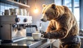 Bearista: A Bear Making Coffee Royalty Free Stock Photo