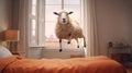 Sheep jumping on bed