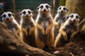 Whimsical meerkat family, displaying their entertaining and amusing behaviors