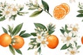 Whimsical Orange Citrus Fruit Illustrations Clipart Set