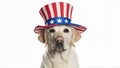 Whimsical and Patriotic White Labrador Retriever in Uncle Sam Hat. Copy-Space Concept: American Spirit