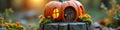 Whimsical pumpkin house at sunset with glowing windows and flowers Royalty Free Stock Photo