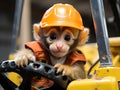 Baby monkey driving forklift in warehouse