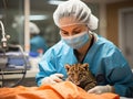 Leopard cub doctor with toy patient Royalty Free Stock Photo