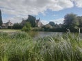 Whimsical scene with tall grasses surrounding countryside pond lake with cloudy sky