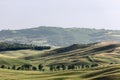 Whimsical silhouette of Tuscany hills covered with greenery in midday summer heat.