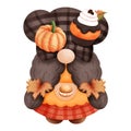 Whimsical thanksgiving gnome and autumn decoration