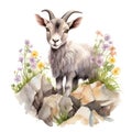 Whimsical Watercolor Baby Goat Climbing Rocks Surrounded by Mountain Flowers AI Generated