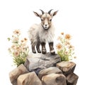 Whimsical Watercolor Baby Goat Climbing Rocks Surrounded by Mountain Flowers AI Generated