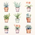 Whimsical Watercolor Potted Succulent Plants Clipart Set