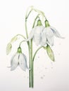 Whimsical Watercolor Snowdrop Petals Hanging Delicately AI Generated