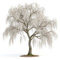 Whimsical weeping tree 3D render Royalty Free Stock Photo