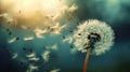 Whimsical Whispers: Dandelion Ballet in Summer Breeze Royalty Free Stock Photo