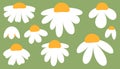 Whimsical White Daisies on Olive Green