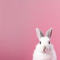 Whimsical White Rabbit on Pink Background. Easter Concept. Generative AI