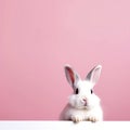 Whimsical White Rabbit on Pink Background. Easter Concept. Generative AI