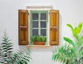 A whimsical window with green shutters and flowers on the windowsill. painted texture