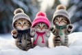 whimsical winter scene, cute cats adorned in stylish clothes playfully explore a snowy landscape.