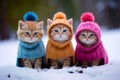 whimsical winter scene, cute cats adorned in stylish clothes playfully explore a snowy landscape.
